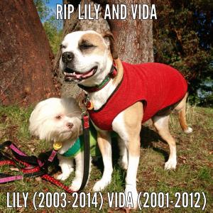 1502360_10154830143510626_641171621571898189_o